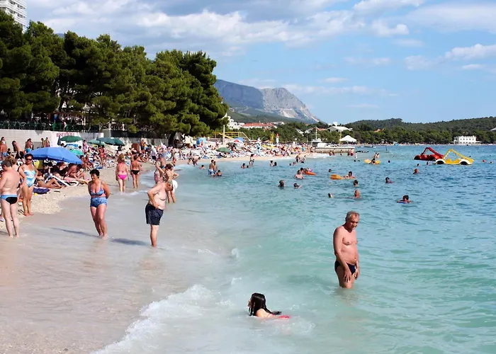 Family-friendly With Swimming Pool - 22975 * Makarska